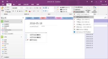 产品经理提升效率 OneNote在软件开发中的高效应用技巧